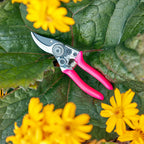 Burgon & Ball FloraBrite® Pocket Pruner
