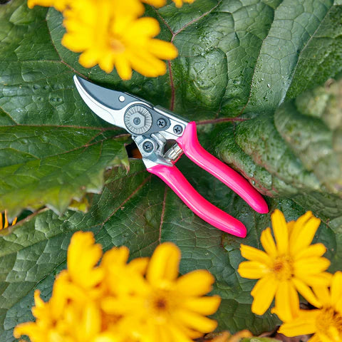 Burgon & Ball FloraBrite® Pocket Pruner