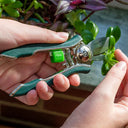 Burgon & Ball Houseplant Pruner | Compact Precision Cutter for Indoor Plants