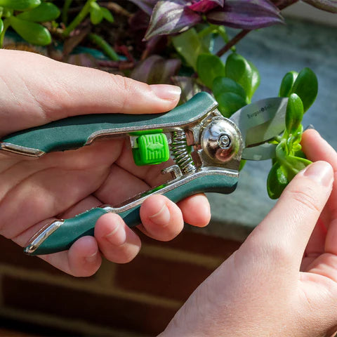 Burgon & Ball Houseplant Pruner | Compact Precision Cutter for Indoor Plants