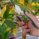 Burgon & Ball Houseplant Pruner | Compact Precision Cutter for Indoor Plants