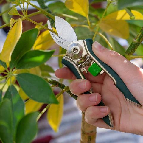 Burgon & Ball Houseplant Pruner | Compact Precision Cutter for Indoor Plants