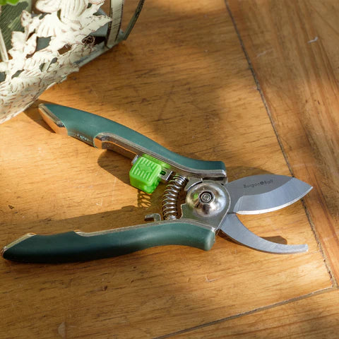 Burgon & Ball Houseplant Pruner | Compact Precision Cutter for Indoor Plants