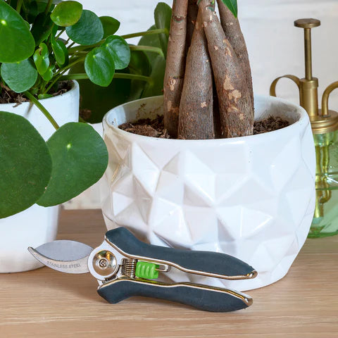 Burgon & Ball Houseplant Pruner | Compact Precision Cutter for Indoor Plants