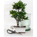 Burgon & Ball Japanese Pruning Scissors | Fine Garden Cutting Tool