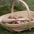 Sophie Conran Gift-Boxed Dibber by Burgon & Ball