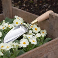Sophie Conran Gift-Boxed Garden Trowel | Burgon & Ball