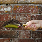 Sophie Conran Gift-Boxed Garden Trowel | Burgon & Ball