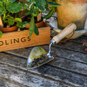 Burgon & Ball RHS Planting Trowel | Stainless Steel & FSC Handle
