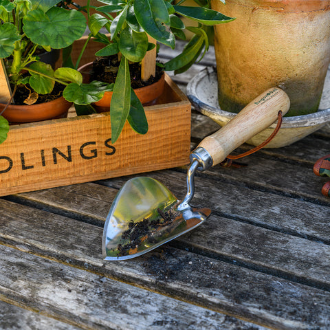 Burgon & Ball RHS Planting Trowel | Stainless Steel & FSC Handle