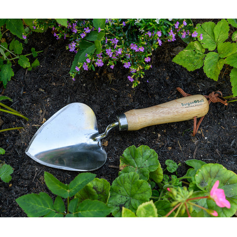 Burgon & Ball RHS Planting Trowel | Stainless Steel & FSC Handle