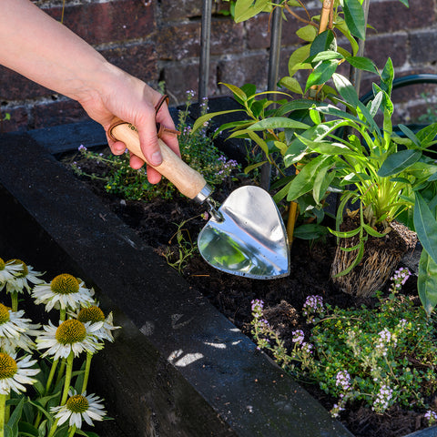 Burgon & Ball RHS Planting Trowel | Stainless Steel & FSC Handle