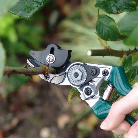 Burgon & Ball RHS Rose Pruner with Stem-Gripping Mechanism