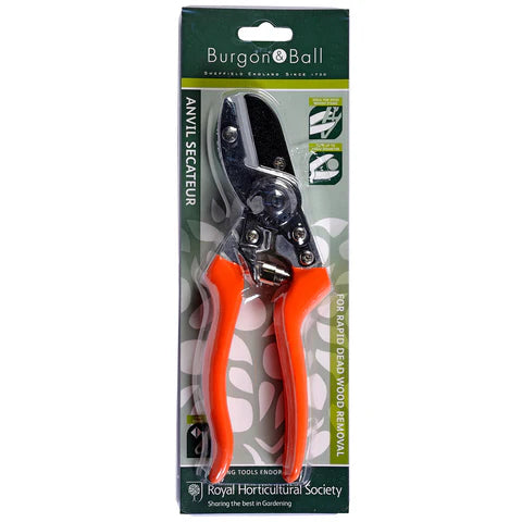 Burgon & Ball RHS Anvil Secateurs