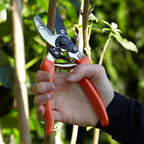 Burgon & Ball RHS Anvil Secateurs