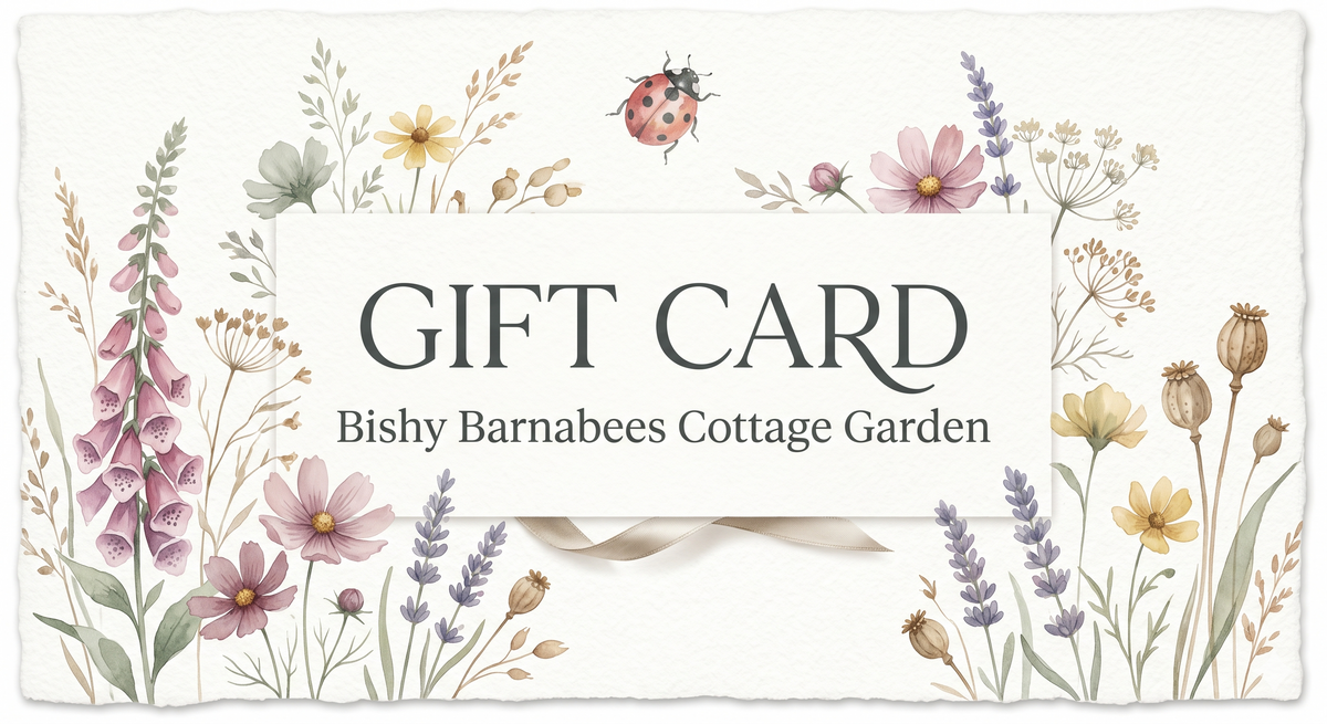 Digital e-gift card design with a watercolour wildflower border