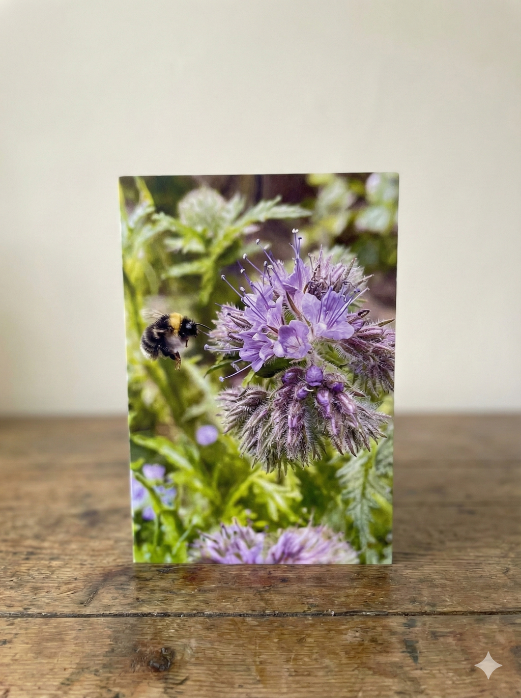 Bee with Phacelia greeting card standing on a wooden surface
