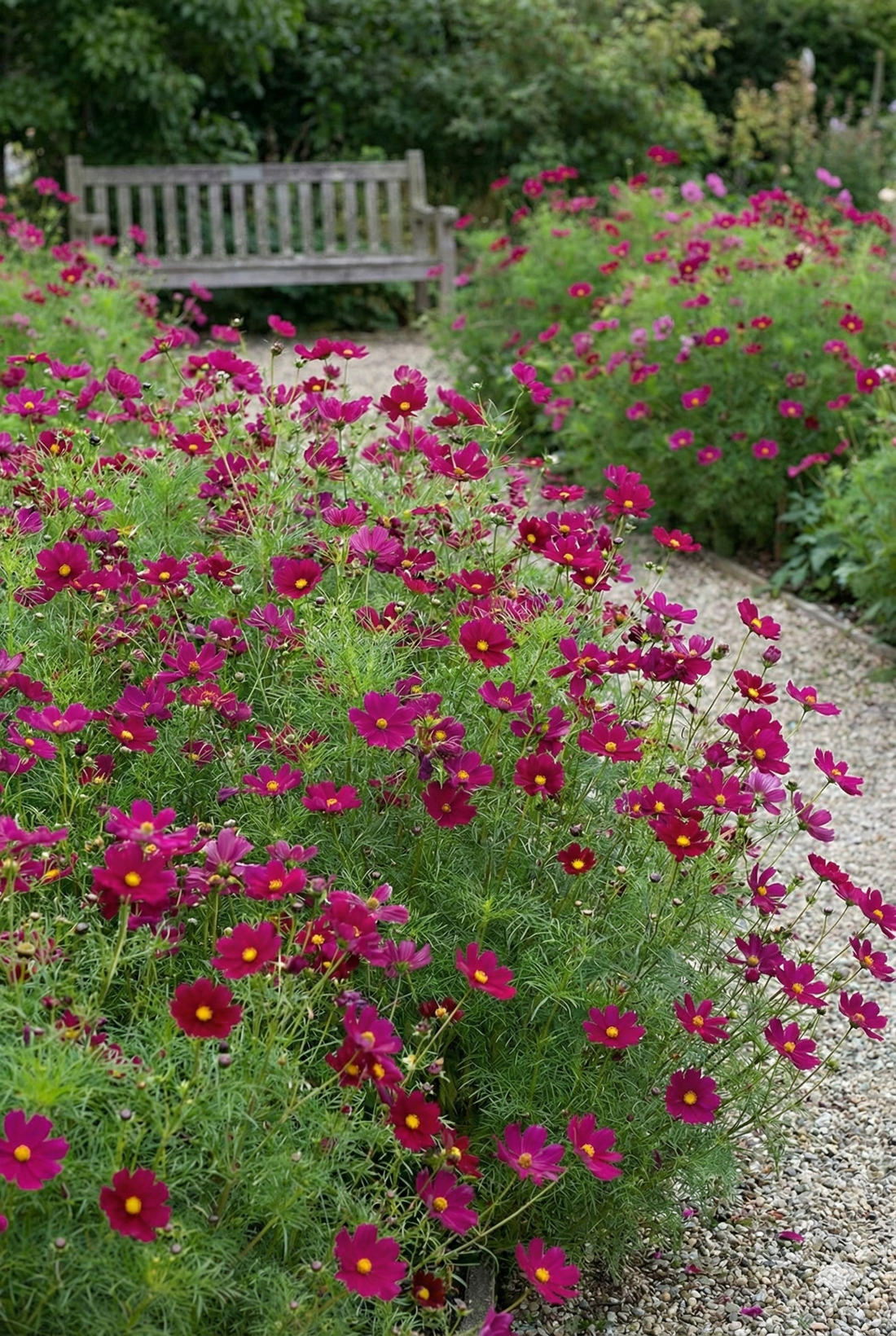 Bouquet of pink flowers with a wooden bench in the background