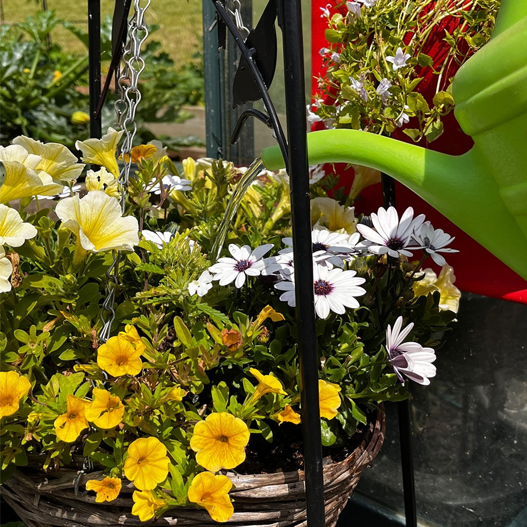 Natural Compost - Organic and Peat Free - 50L Bag