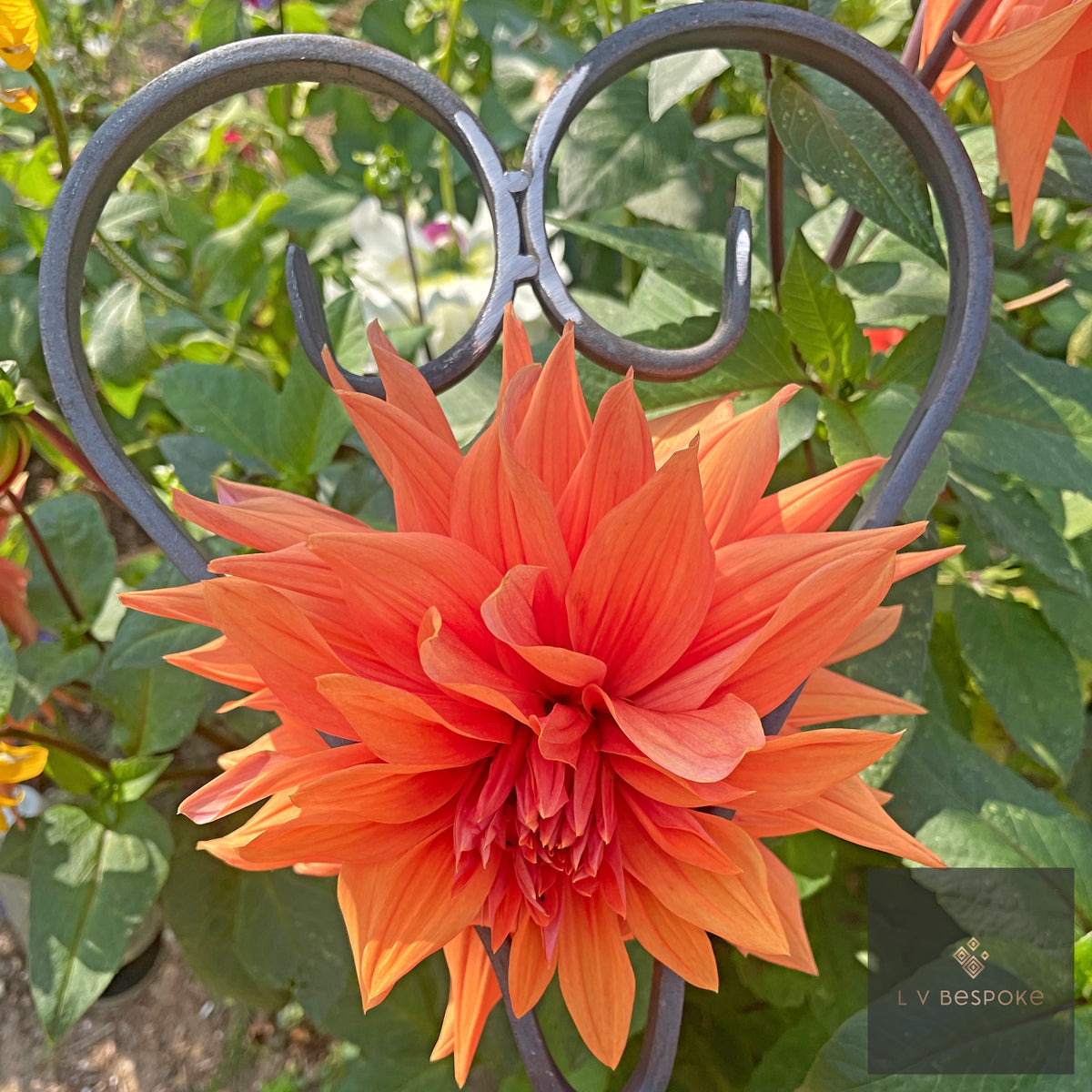 Bespoke Heart Shaped Plant Support | Norfolk-Made Garden Feature