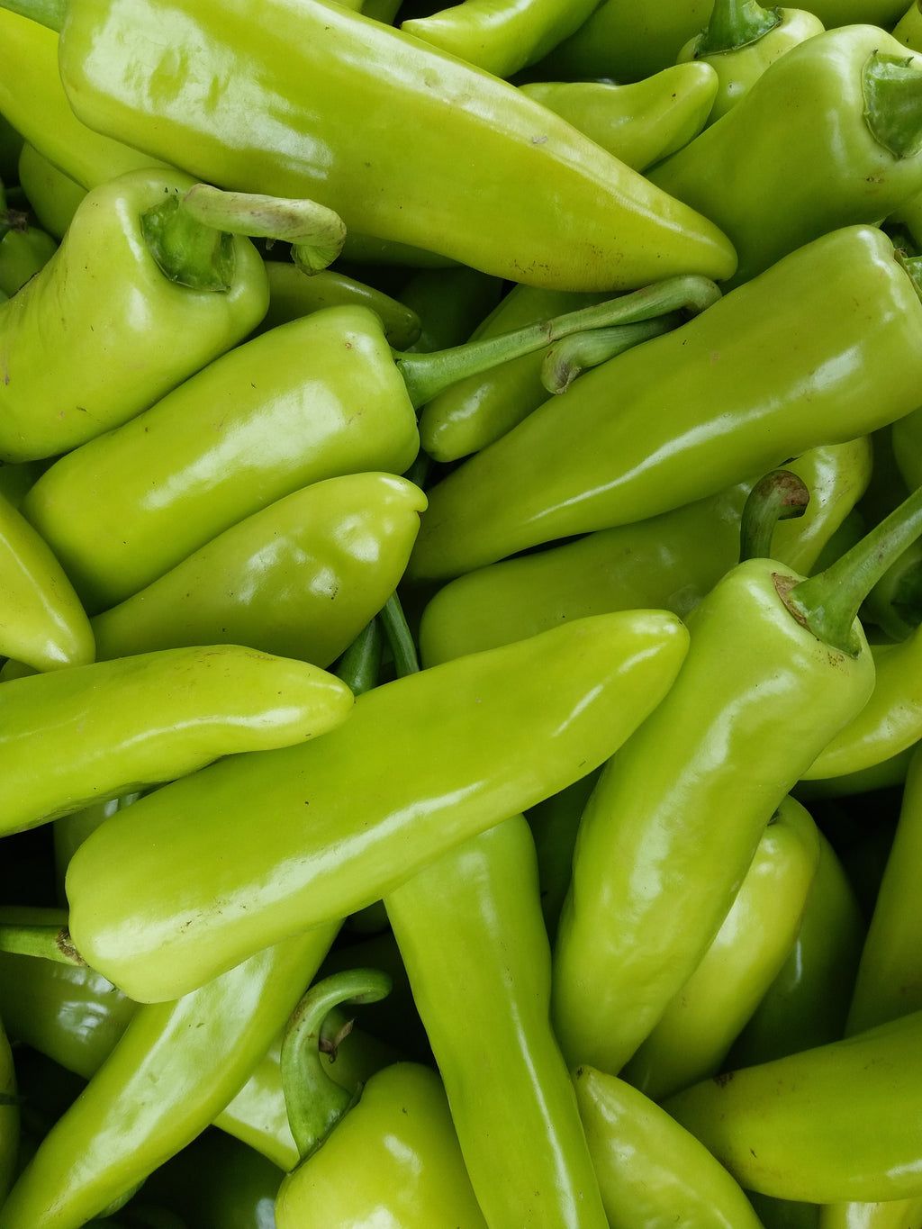 Hungarian Hot Wax Chilli