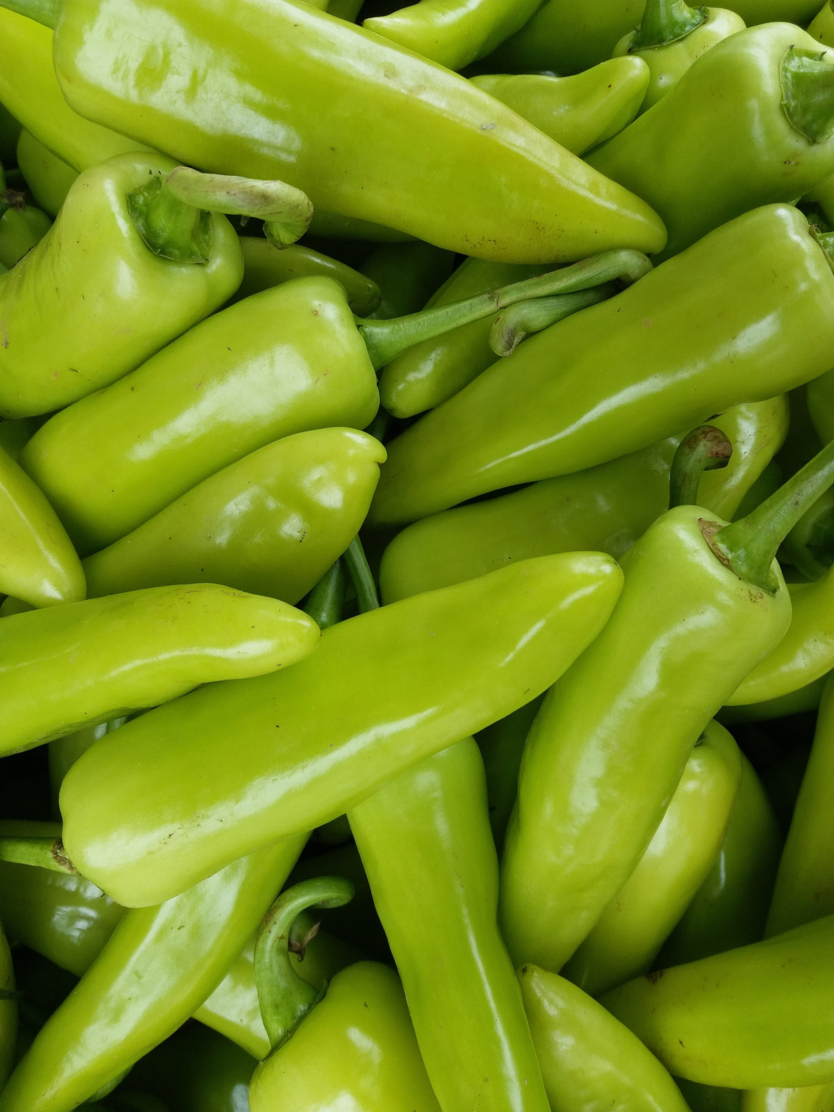 Hungarian Hot Wax Chilli