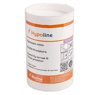 Hypoaspis mites (Stratiolaelaps scimitus)