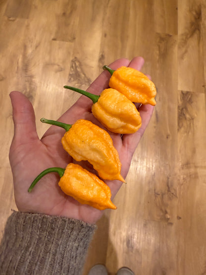 A hand holding five vibrant yellow-orange chili peppers on a wooden surface.