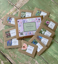 The Autumn Seed Collection