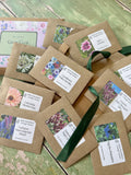 The Autumn Seed Collection