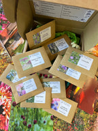 The Autumn Seed Sowing Flower Box by Bishy Barnabees Cottage Garden includes a selection of hardy annual flower seed packets—ideal for starting your own cutting patch this autumn.