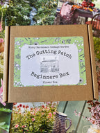 A cardboard box labeled "Bishy Barnabees Cottage Garden The Cutting Patch Beginners Flower Box," ideal for starting a cutting garden with flower seeds, rests on a vibrant background of garden and flower images.
