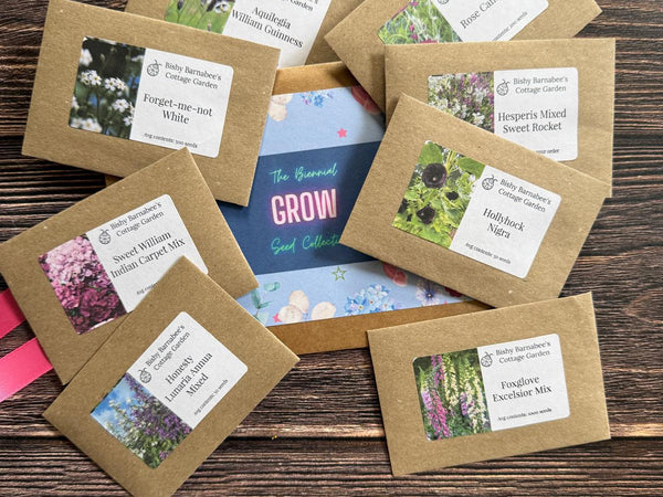 The Biennial Seed Collection