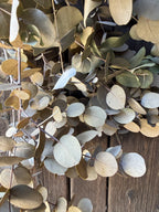 Eucalyptus Dried
