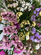 A close-up of Statice Hipster Mixed by Bishy Barnabees Cottage Garden shows a dense bouquet in pink, purple, yellow, and white with green stems—ideal for sustainable winter wreaths or growing from seed.