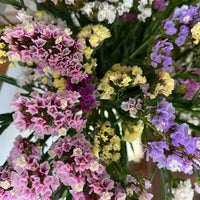 A close-up of Statice Hipster Mixed by Bishy Barnabees Cottage Garden shows a dense bouquet in pink, purple, yellow, and white with green stems—ideal for sustainable winter wreaths or growing from seed.