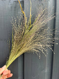 A hand holds a bunch of Bishy Barnabees Cottage Garden Panicum Dried, featuring delicate, thin stems and small seed heads, set against a dark wooden background.