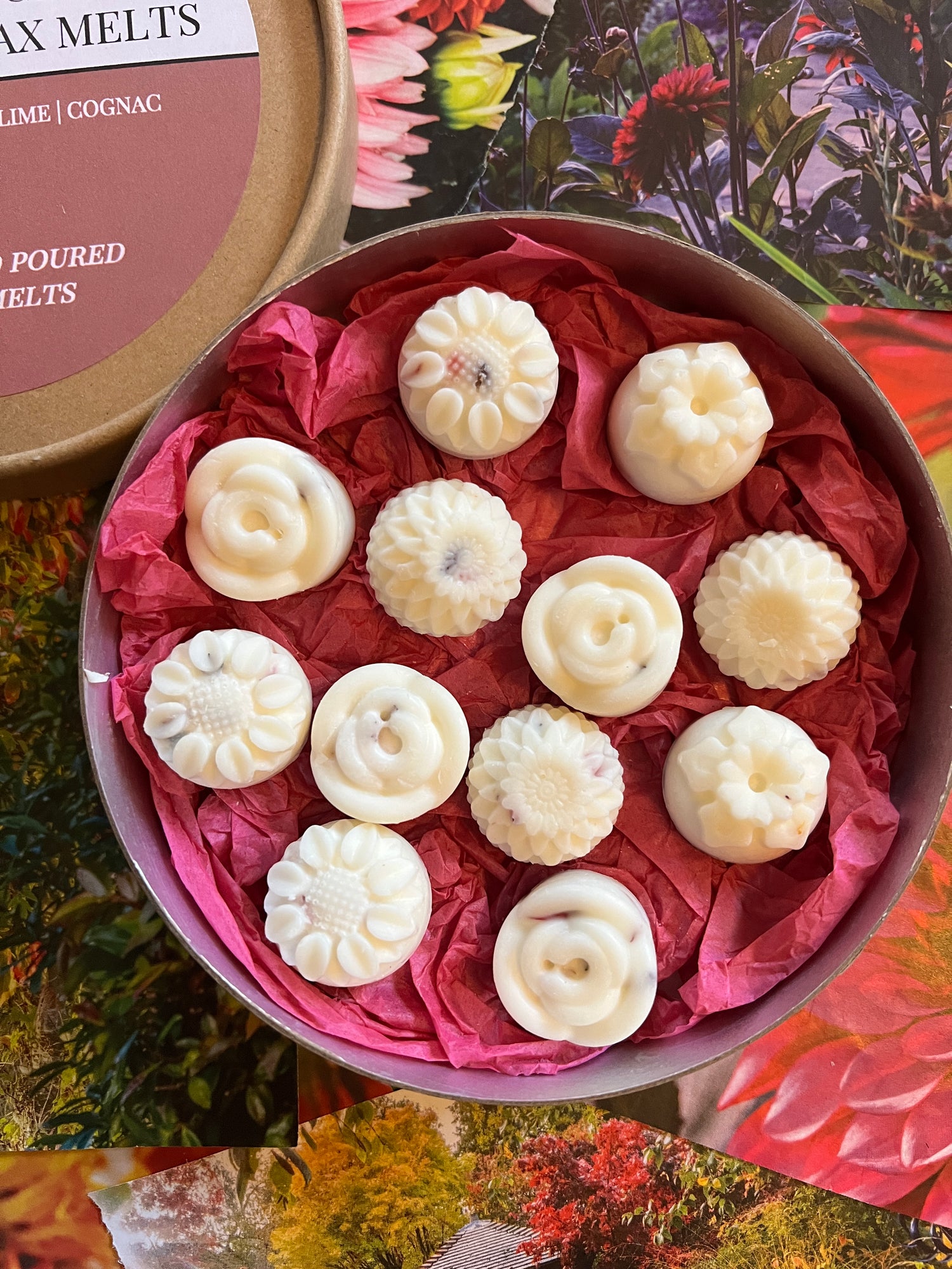 Havana Nights Botanical Wax Melts in a decorative tin with floral designs and pink crinkle paper.