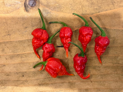 Group of vibrant red Trinidad Scorpion peppers on wooden surface, known for their intense heat.