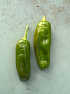 Padron Chilli