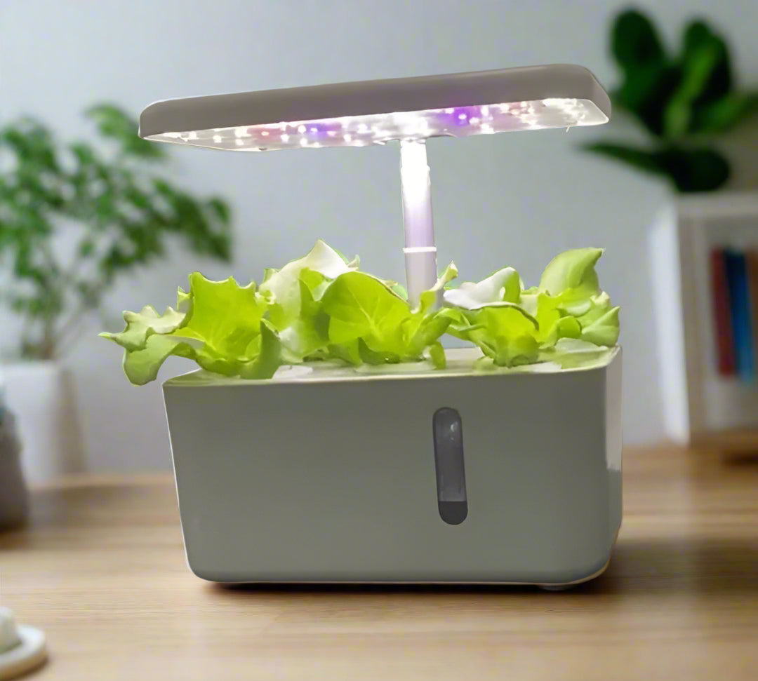 5 Pod Smart Garden Mini - Compact Indoor Hydroponic Growing System