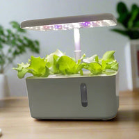 5 Pod Smart Garden Mini (W)