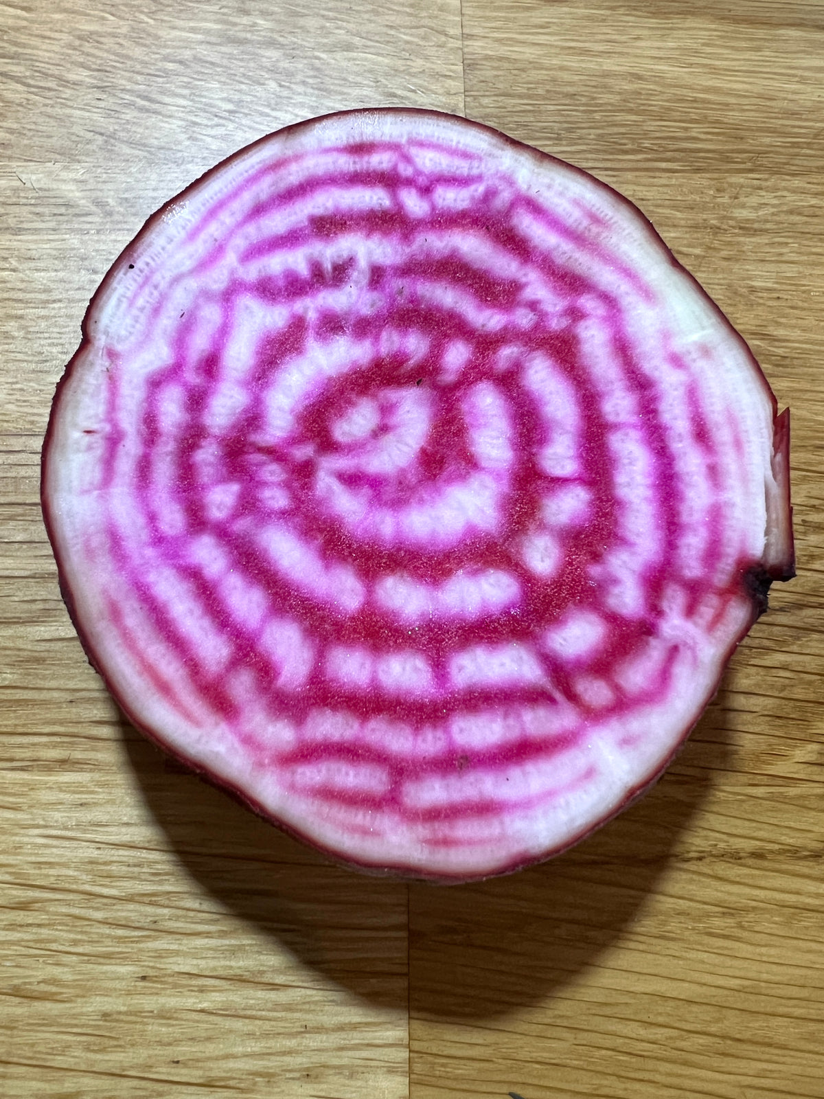 Beetroot Chioggia