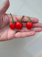 Dalle Khursani Chilli