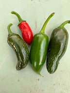 Jalapeno Biker Billy Chilli