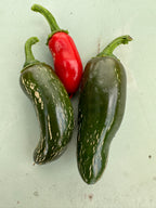 Jalapeno Biker Billy Chilli