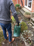 A person in a gray sweater and blue jeans stands on a stone patio by potted plants, holding a green watering can as they prepare to use ladybirdplantcare.co.uk Slug Control Nematodes 100 sqm for effective slug management.