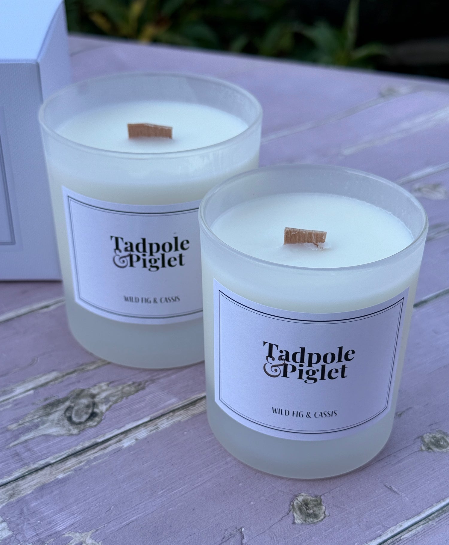 Wild Fig &amp; Cassis Scented Candle