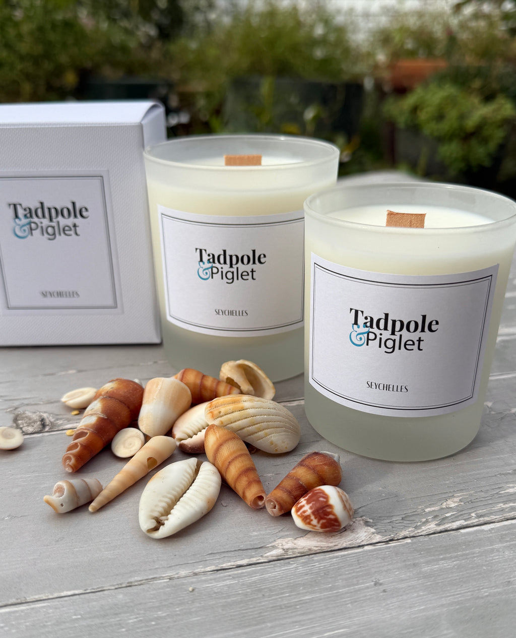 Two Tadpole & Piglet Seychelles Scented Candles, crafted from natural soy wax with FSC-certified wooden wicks in frosted glass jars, are displayed alongside a white box and seashells on a wooden surface amidst lush greenery.