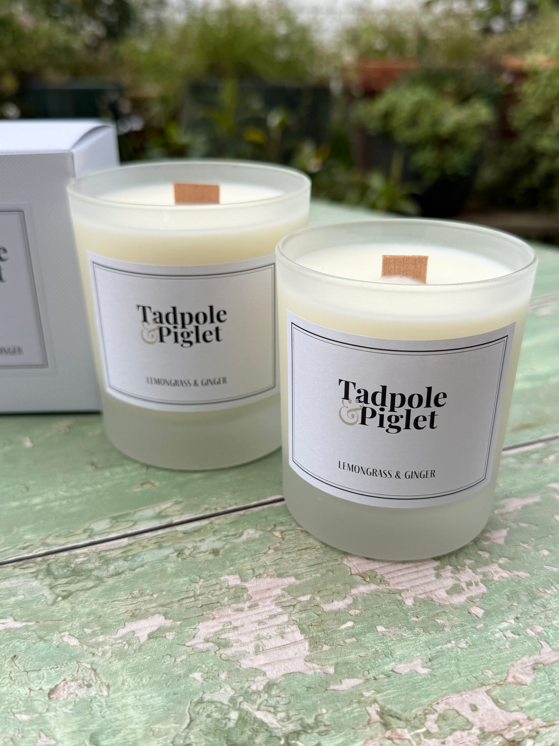 Lemongrass &amp; Ginger Scented Candle